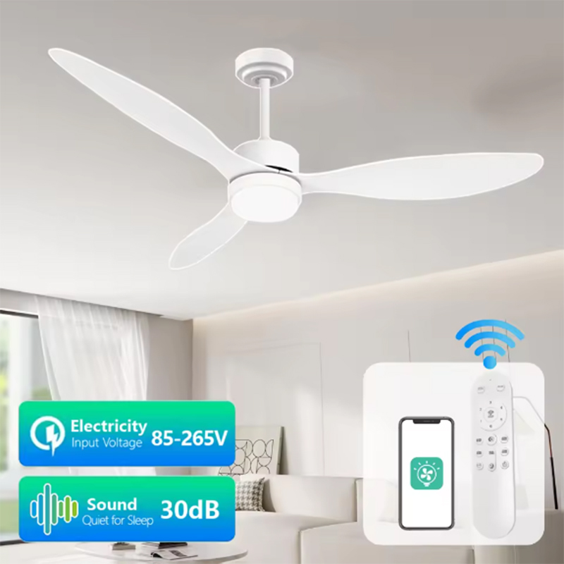 현대식 LED 천장 선풍기 램프 DC 모터 6단 속도  - Ceiling Fan Led 3 Blade Modern 리뷰 및 가격