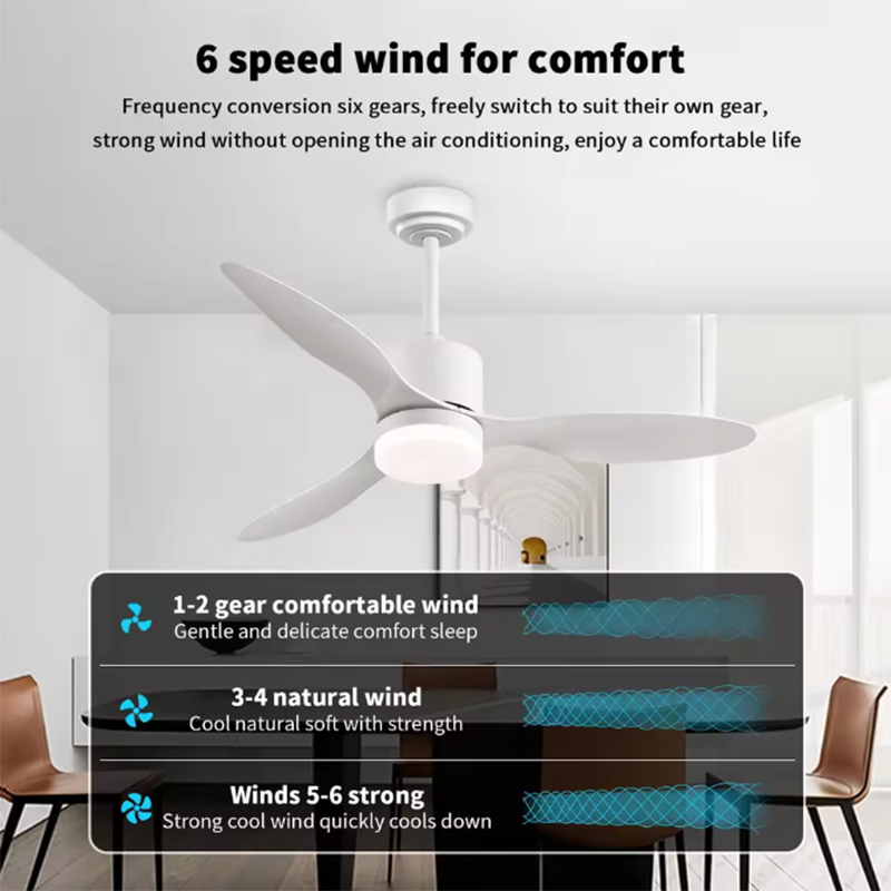 현대식 LED 천장 선풍기 램프 DC 모터 6단 속도  - Ceiling Fan Led 3 Blade Modern 리뷰 및 가격