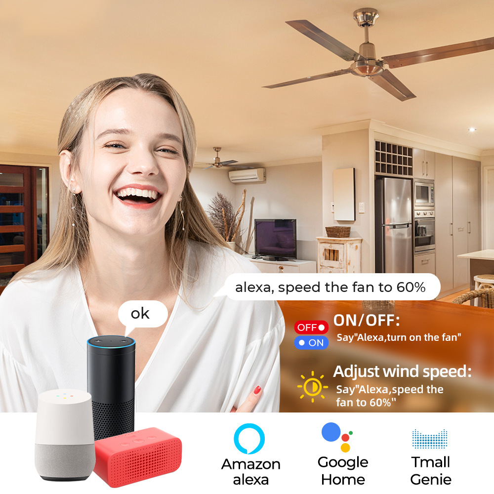 투야 와이파이 스마트 천장 선풍기 속도 스위치 EU 2 - Smart Ceiling Fan Alexa Wifi 리뷰 및 가격