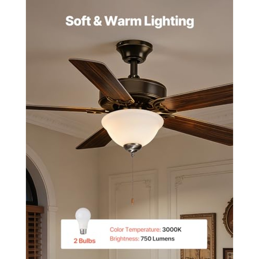 천장 선풍기 조명 키트 750lm 3000K 볼형 선풍 - Ceiling Fan Light Kit Replacement 리뷰 및 가격