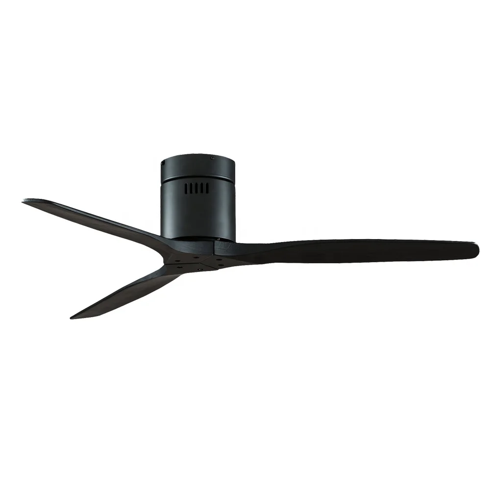 모터 장식 천장 선풍기 환풍기 조명 리모컨, 브러시드  - Ceiling Fan Led 3 Blade Modern 리뷰 및 가격